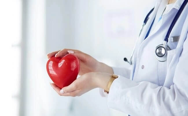 Ảnh 2 - Ăn hạt diêm mạch giúp tăng cường sức khỏe tim mạch