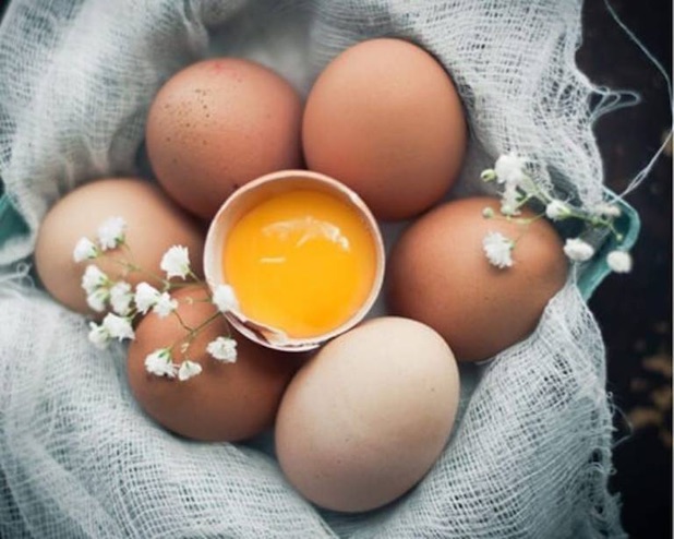 Trứng - thực phẩm cung cấp hàm lượng dinh dưỡng cao