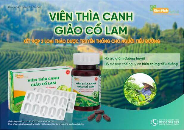 Viên Thìa Canh Giảo Cổ Lam - Sản phẩm tốt cho người bệnh tiểu đường