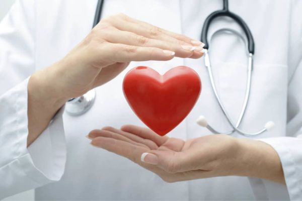 Dọc mùng có lợi cho sức khỏe tim mạch