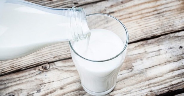 Sữa là nguồn bổ sung chất đạm an toàn cho người bệnh gout