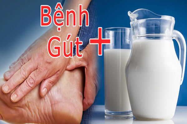 Ảnh: Sữa tươi không đường tốt cho người bệnh gout