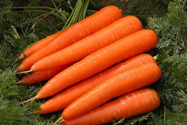 Ảnh: Thành phần dinh dưỡng có trong cà rốt